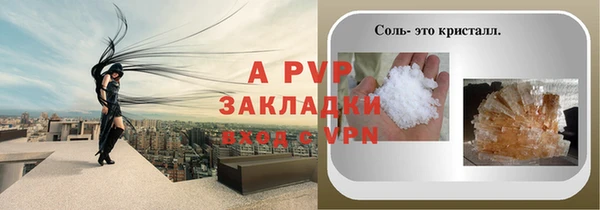прущие грибы Покровск